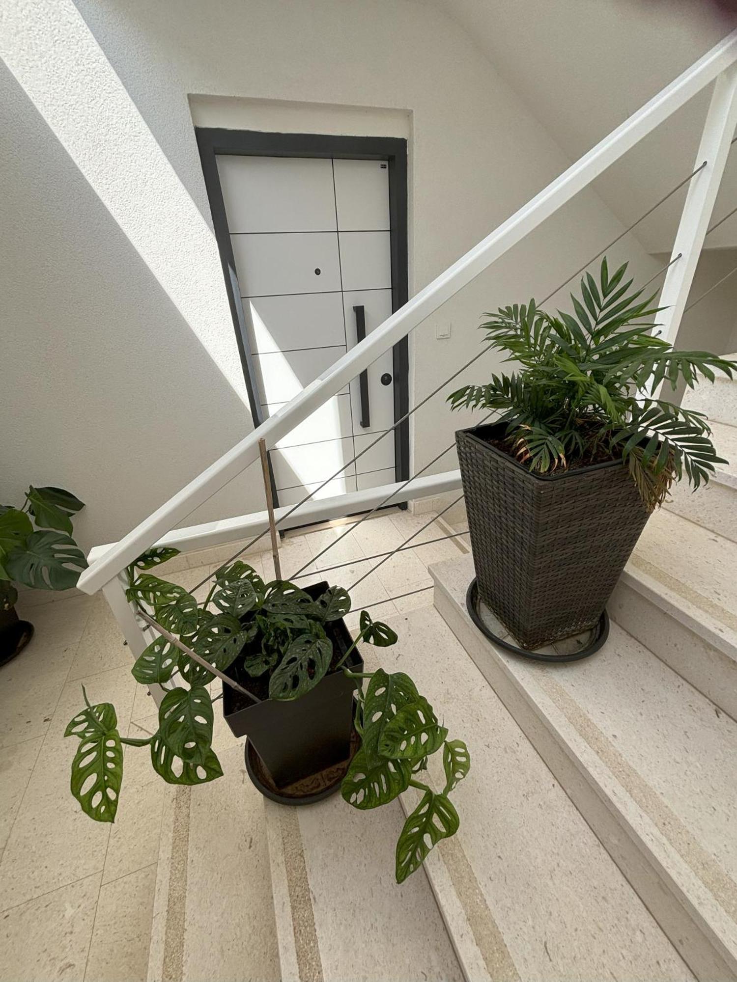 Vila Regina Apartment Regina With Swimming Pool Jezera Exterior foto