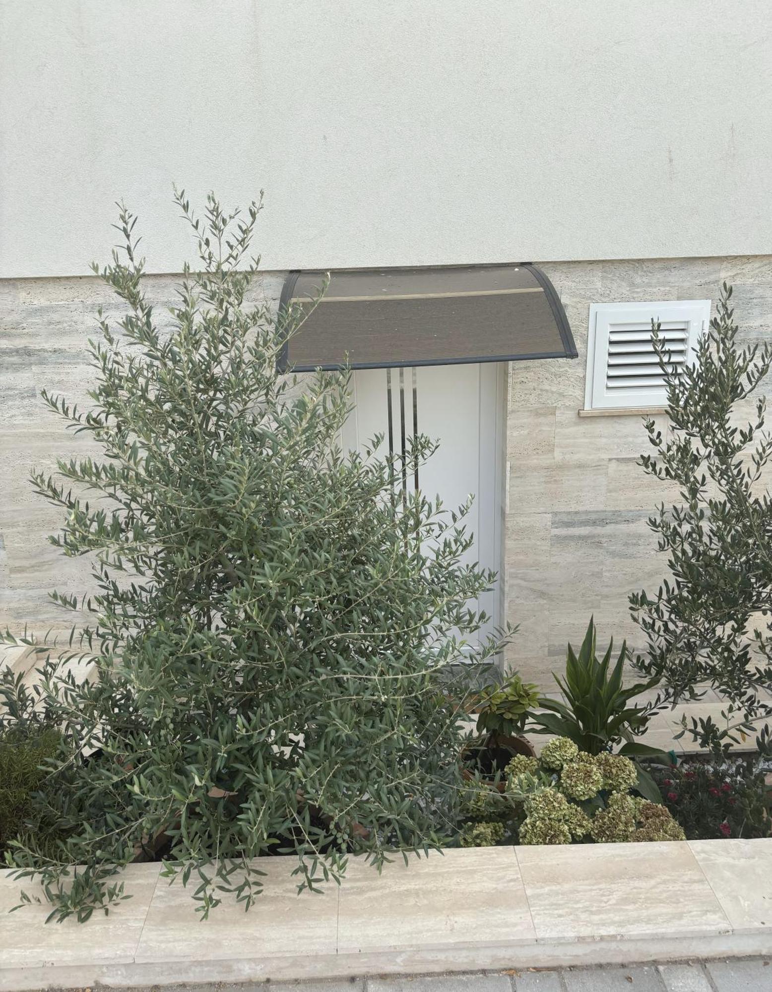 Vila Regina Apartment Regina With Swimming Pool Jezera Exterior foto