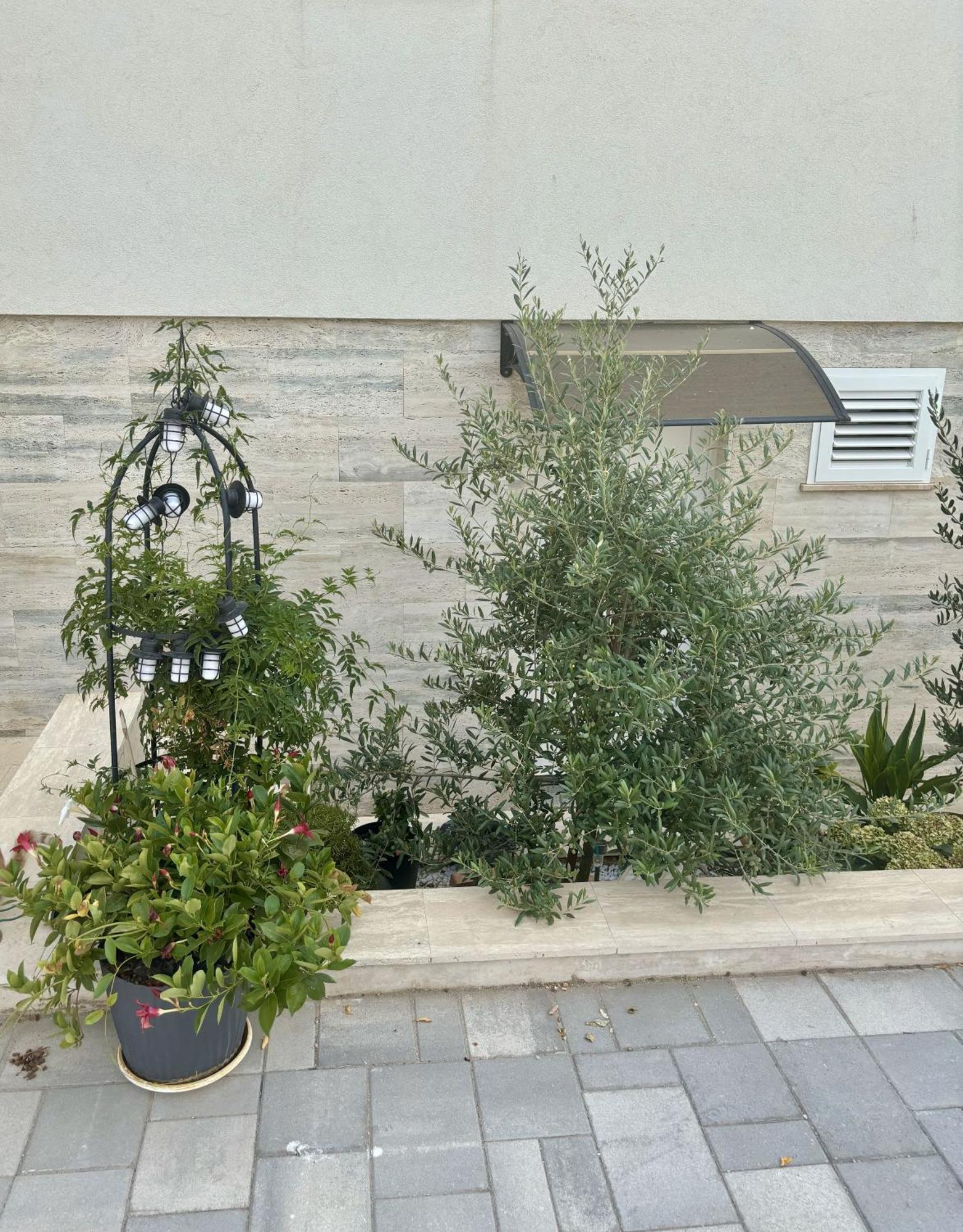 Vila Regina Apartment Regina With Swimming Pool Jezera Exterior foto